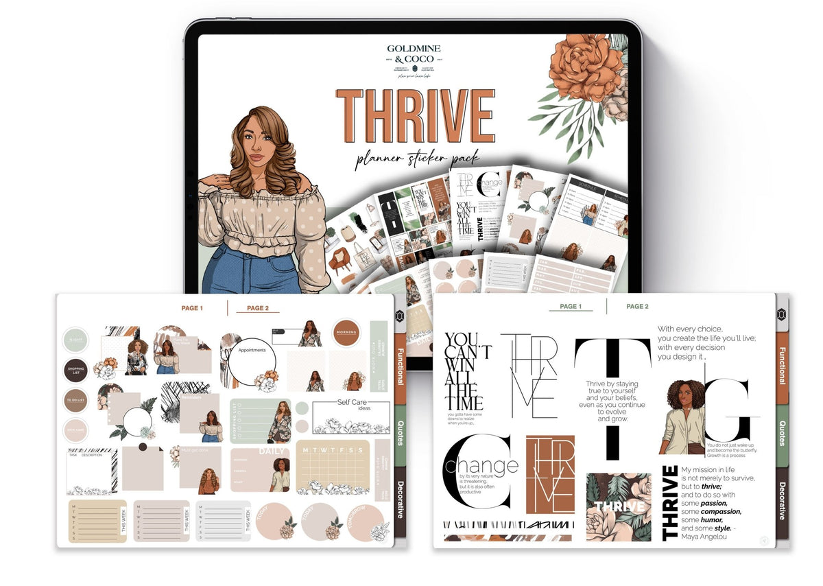 Limited Edition  Evolve Vision Board Kit – Goldmine & Coco
