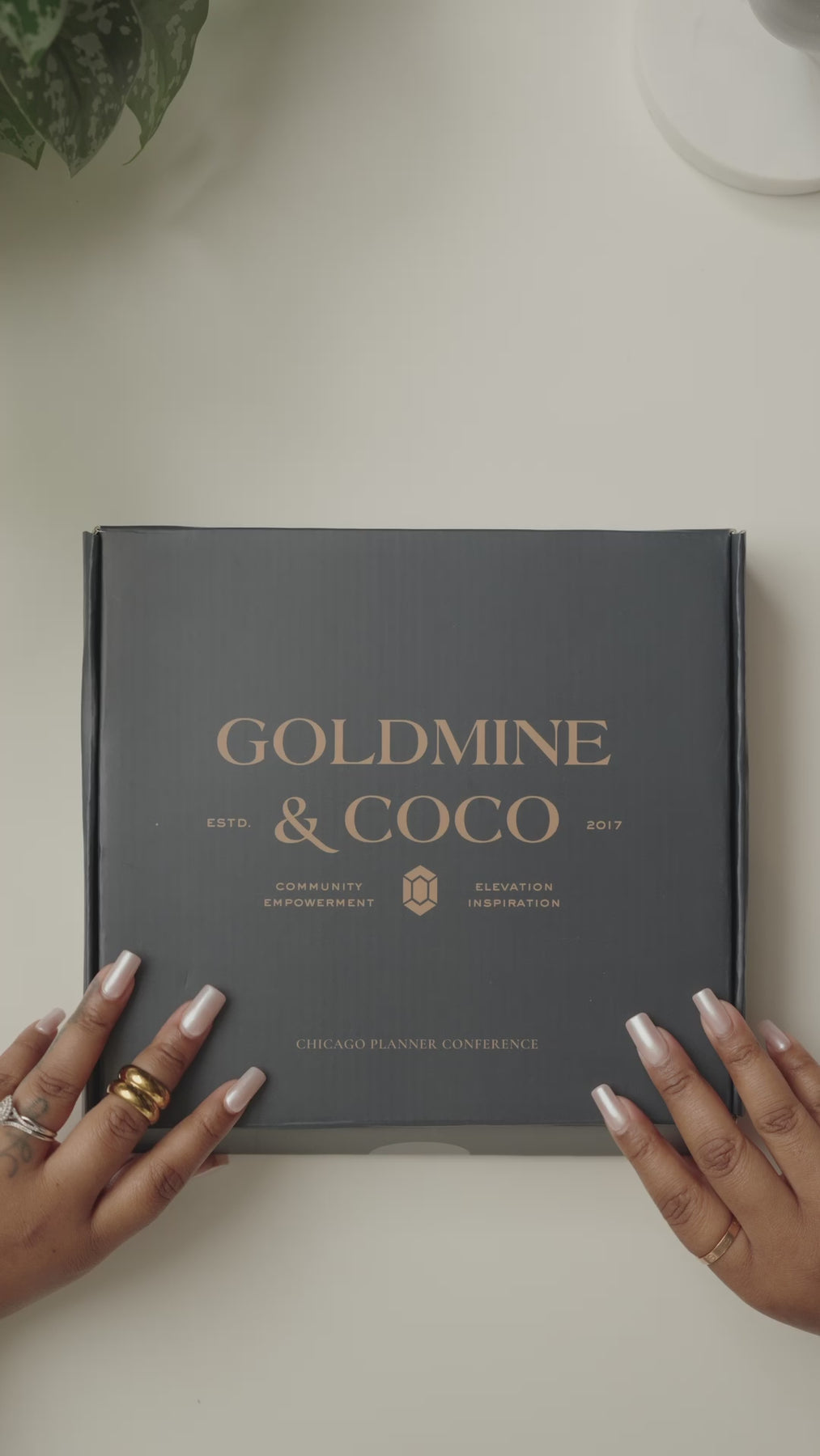 Limited Edition  Evolve Vision Board Kit – Goldmine & Coco