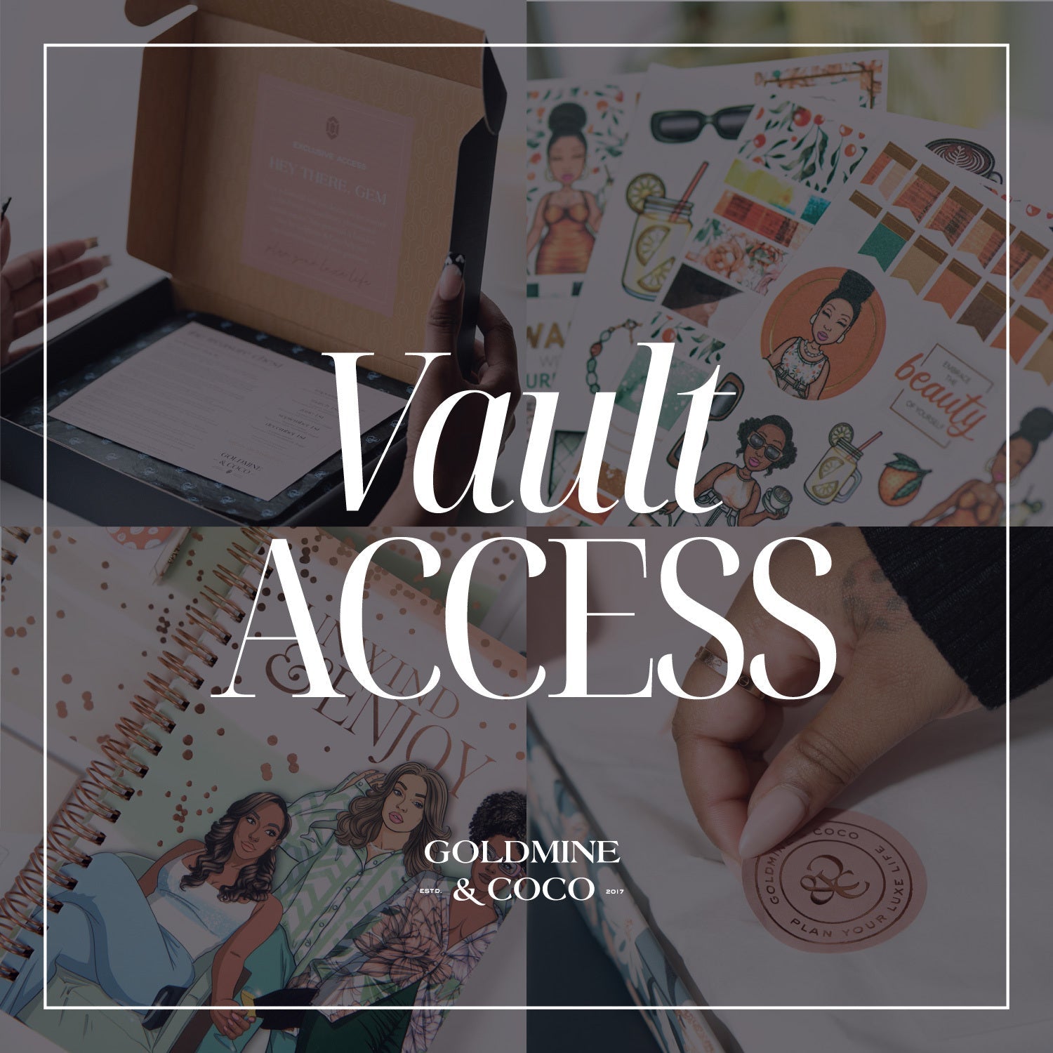 VAULT ACCESS PROGRAM | 3 MONTHS - Goldmine & Coco - 